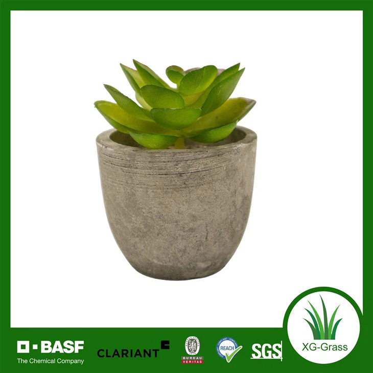 উচ্চ-গুণমান কৃত্রিম সুকুলেন্ট প্ল্যান্ট পট