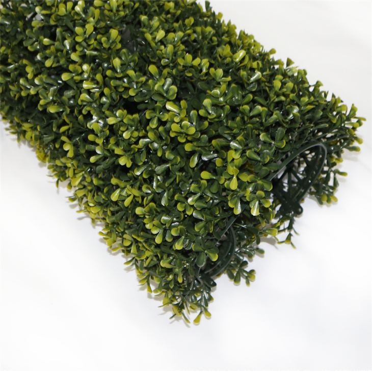 Living Herb Wall Kitchen